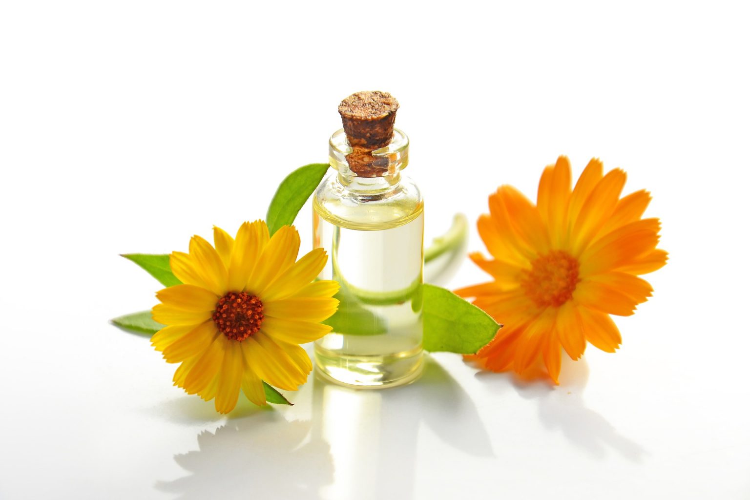 Les Quantiques olfactifs Fleurs d’En Vie — free download